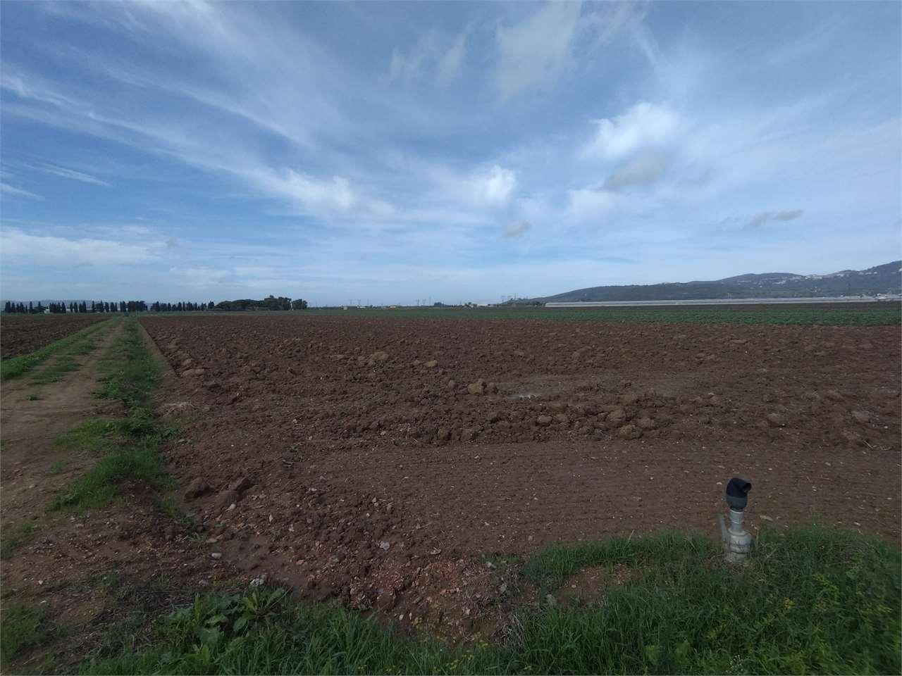 Vendita vendita, Campiglia Marittima foto