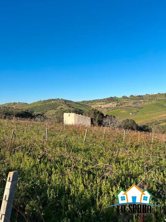 Vendita Loft, mansarde e attici, Alcamo foto