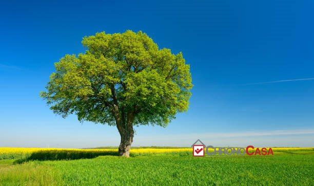 Vendita Loft, mansarde e attici, Messina foto