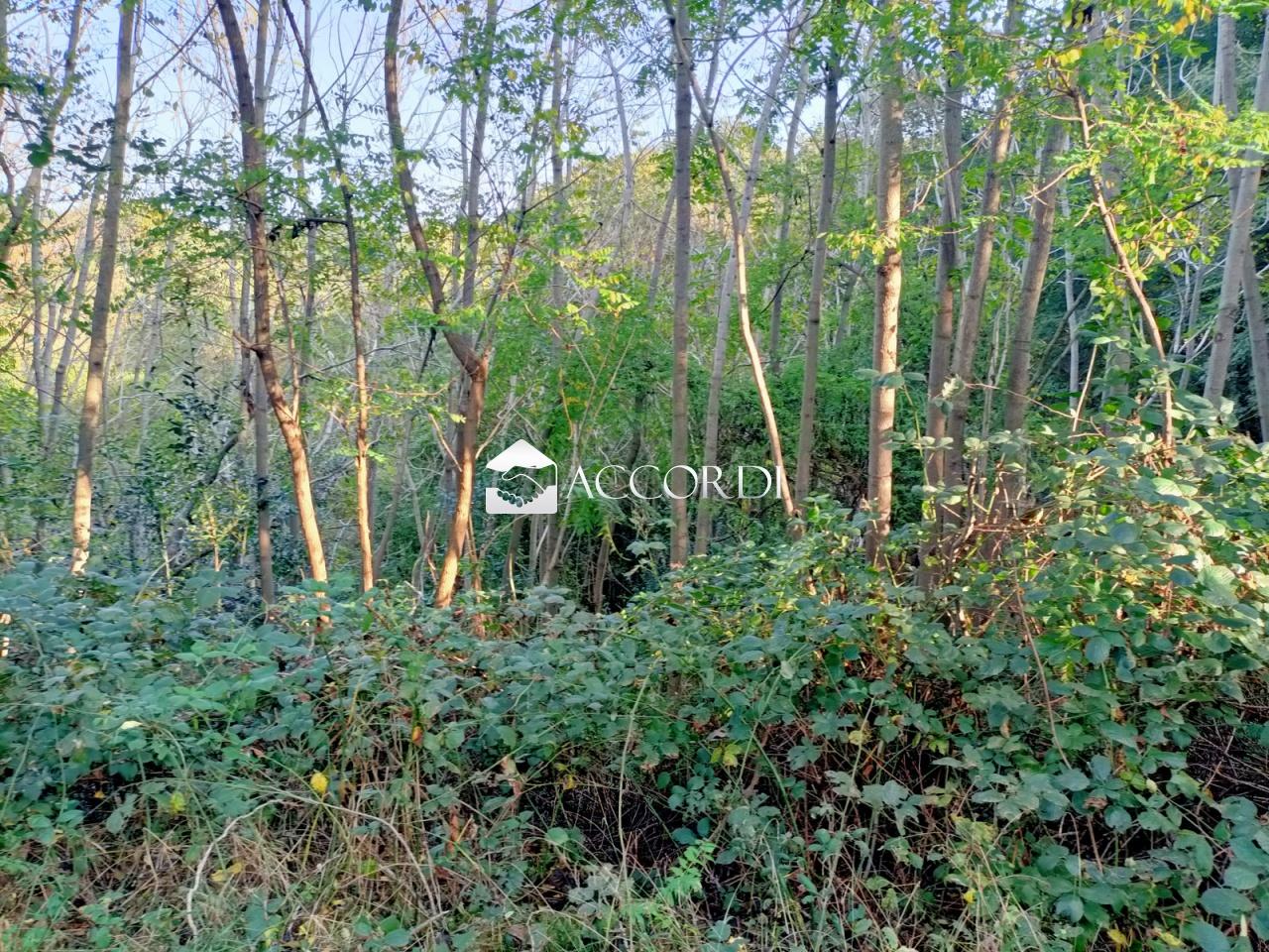 Venta Otras propiedades, Volpago del Montello foto