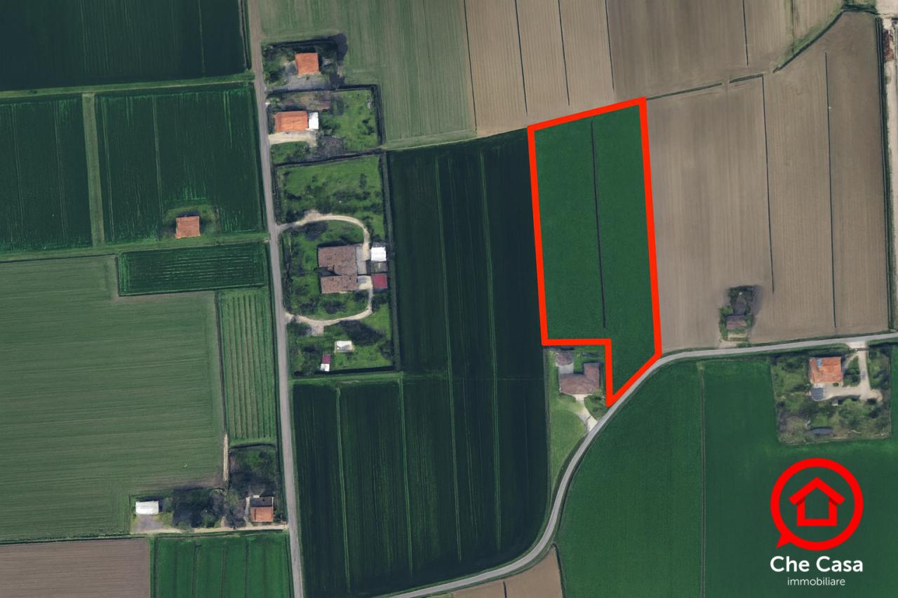 Vendita Terreni, Cesena Vendita Terreni, Cesena foto