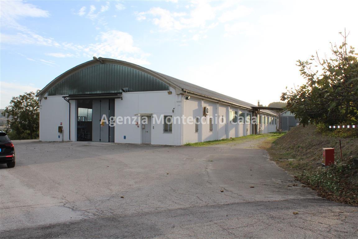 Vendita Capannone, Mondaino foto