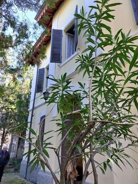 Vendita vendita, Modena Vendita vendita, Modena foto