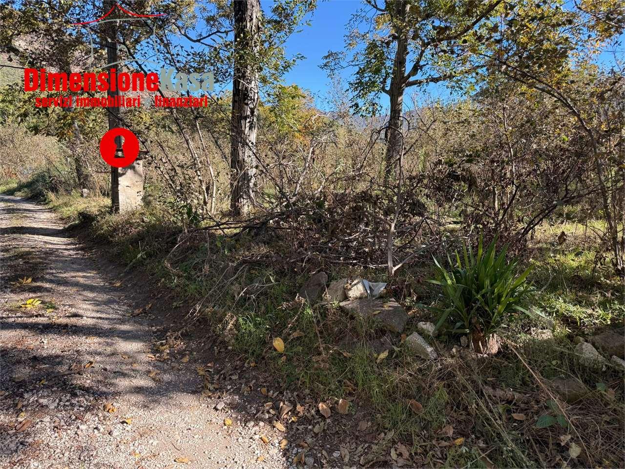 Vendita vendita, Cicciano Vendita vendita, Cicciano foto