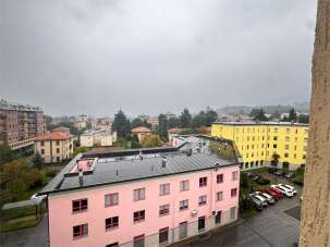 Vendita vendita, Erba Vendita vendita, Erba