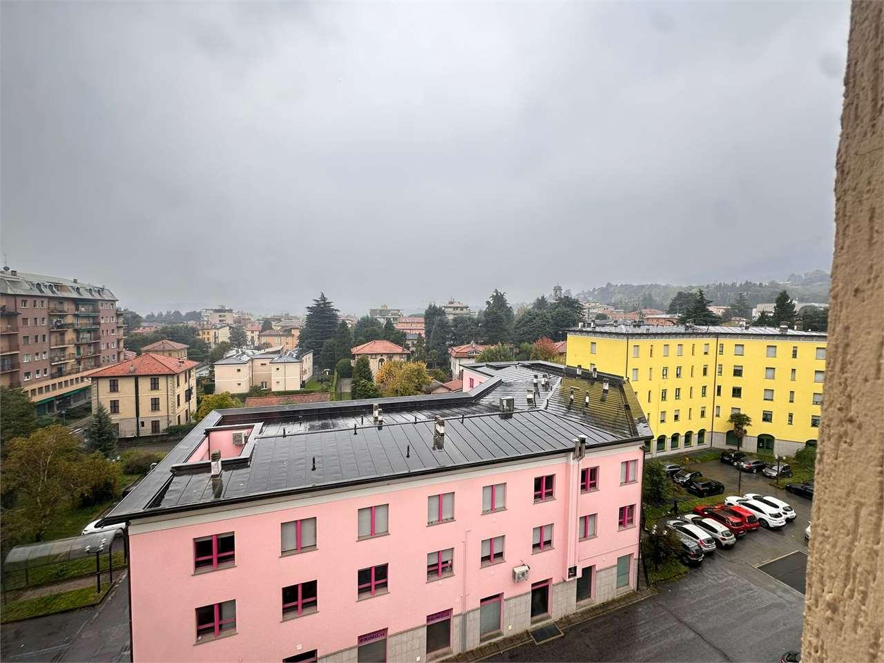 Vendita vendita, Erba Vendita vendita, Erba foto