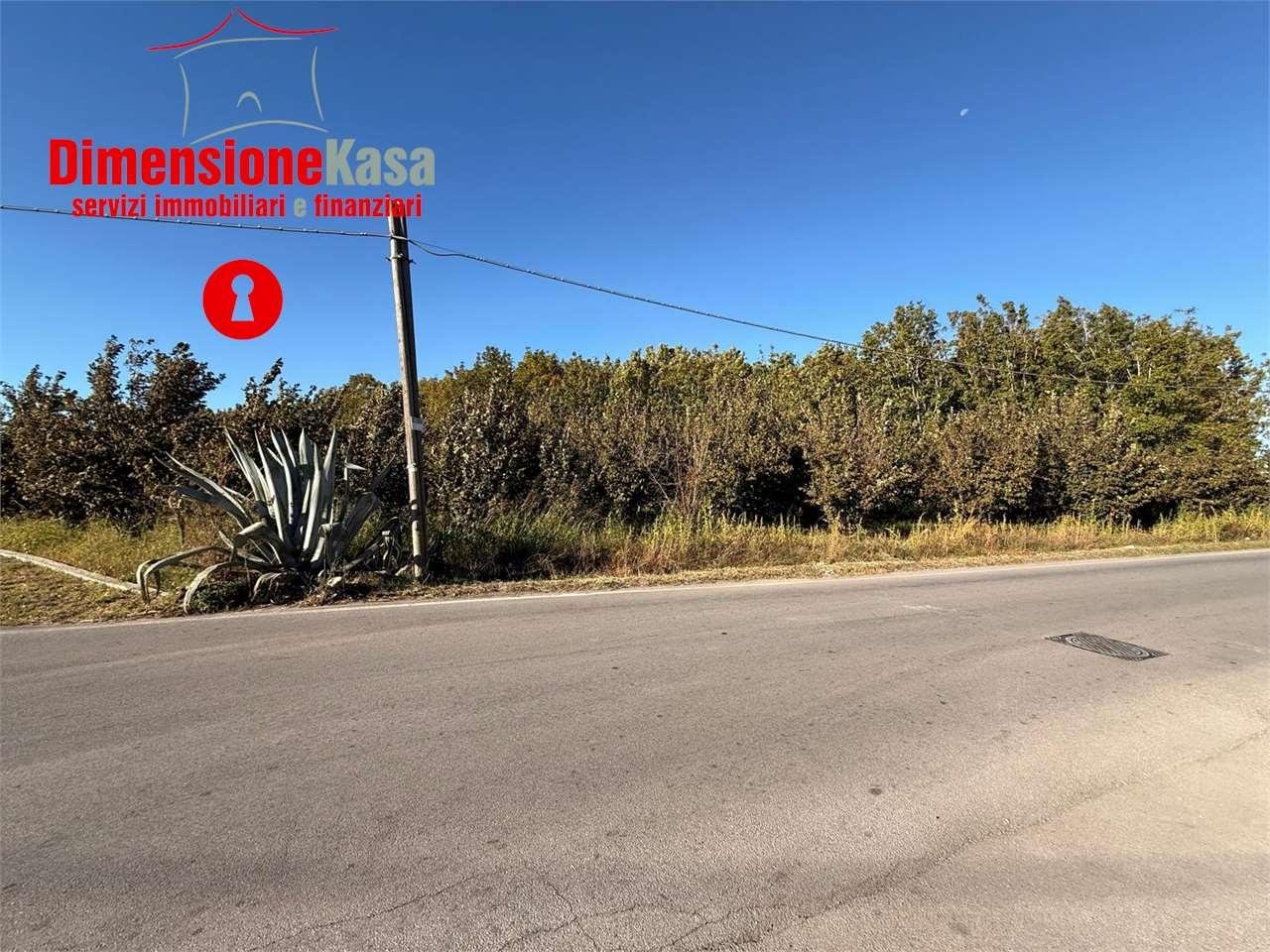 Vendita vendita, Cimitile Vendita vendita, Cimitile foto