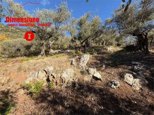 Vendita vendita, Roccarainola Vendita vendita, Roccarainola