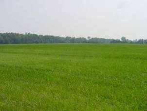 Vendita Terreno, Vicenza Vendita Terreno, Vicenza