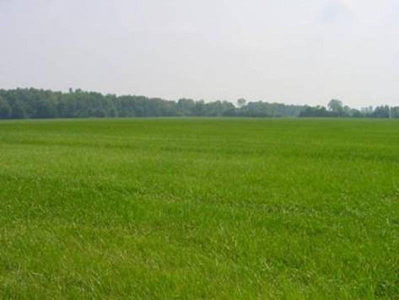 Venta Terreno, Vicenza foto