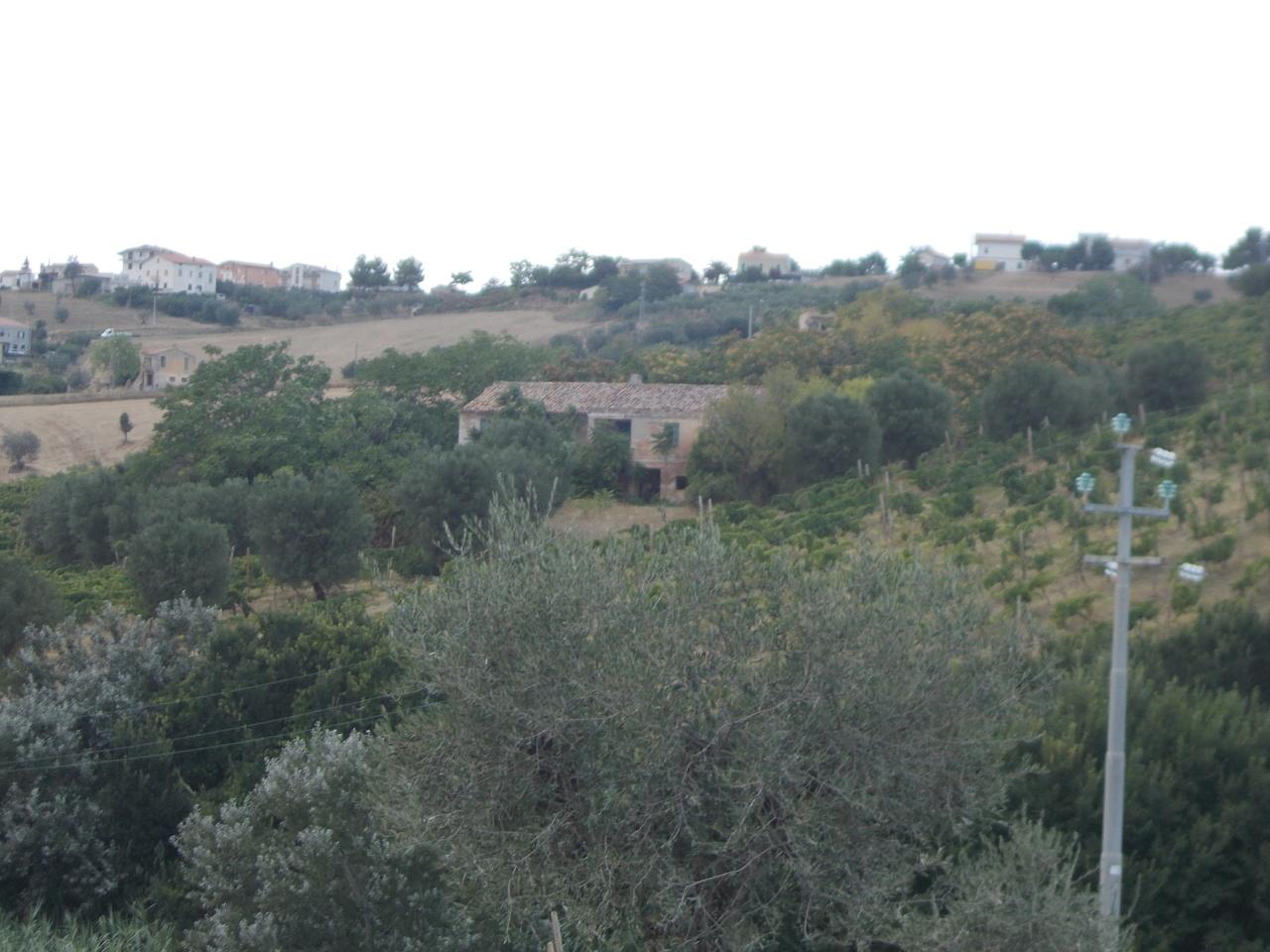 Vendita Pentavani, Colonnella Vendita Pentavani, Colonnella foto