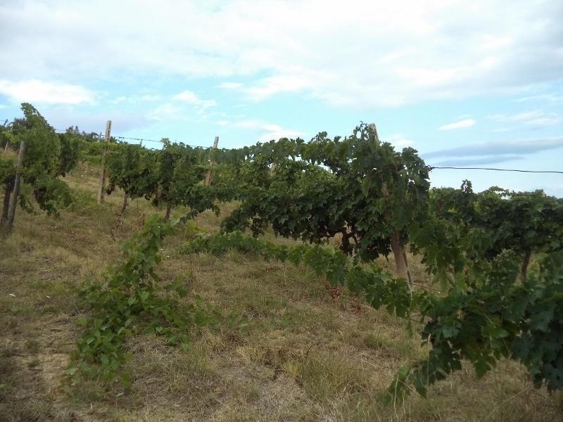 Vendita Monovano, Colonnella foto