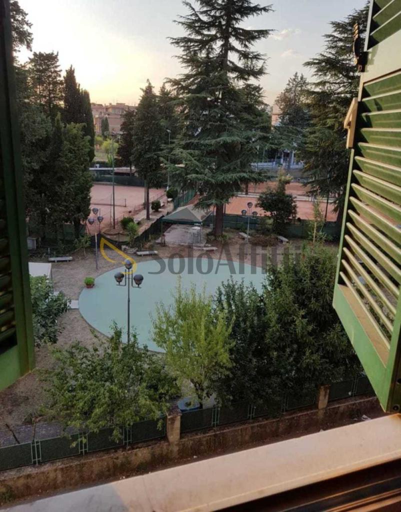 Affitto Quadrivani, Frosinone Affitto Quadrivani, Frosinone foto