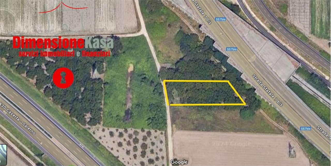 Vendita vendita, Nola foto