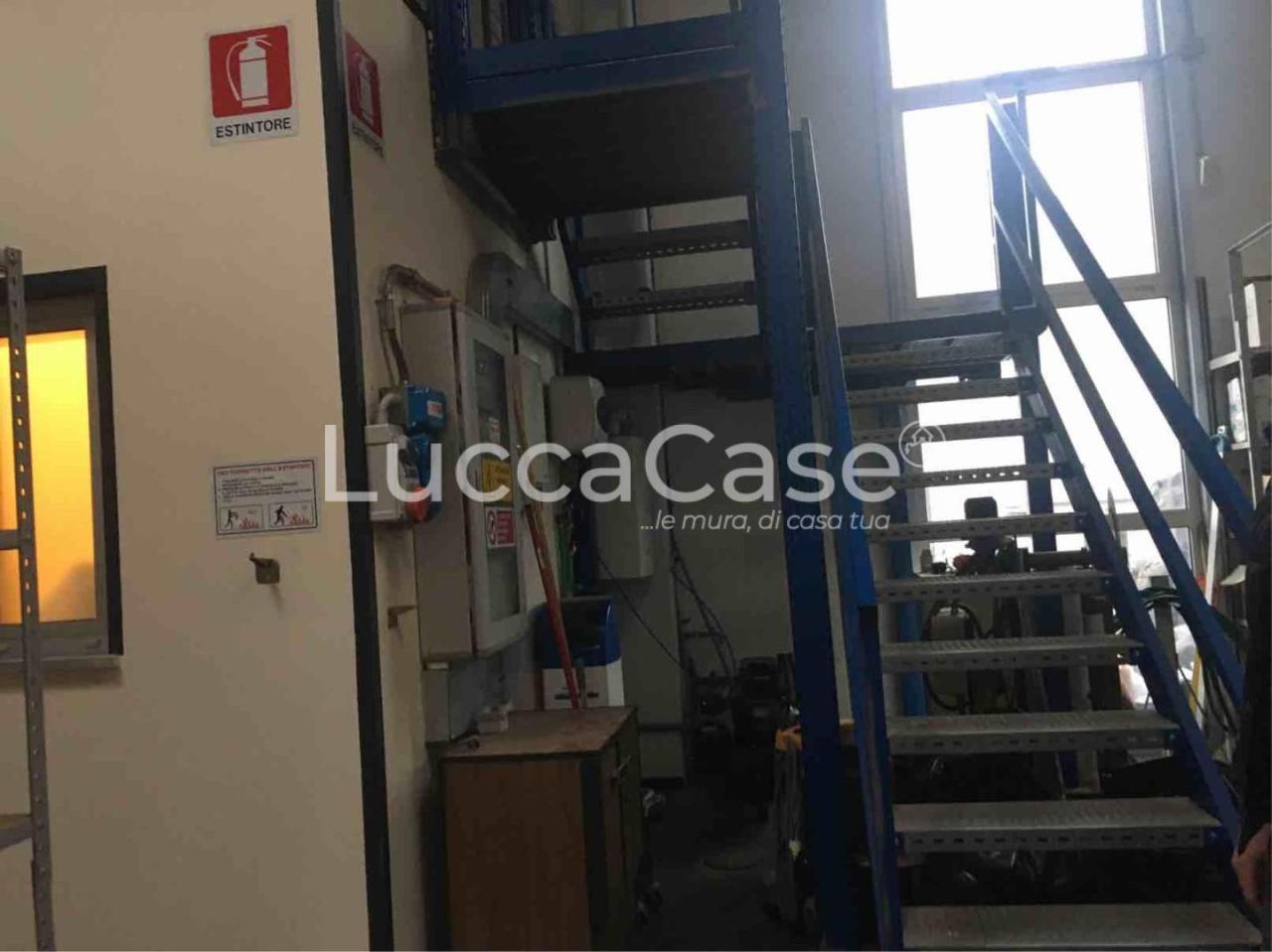 Affitto Capannone, Capannori Affitto Capannone, Capannori foto