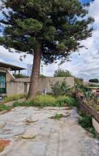 Vendita Trivani, Torre Annunziata Vendita Trivani, Torre Annunziata