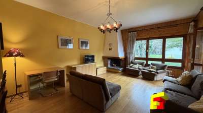 Vendita Quadrivani, Moggio Vendita Quadrivani, Moggio