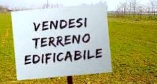 Vendita vendita, Luni Vendita vendita, Luni