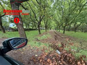 Vendita vendita, Cicciano Vendita vendita, Cicciano