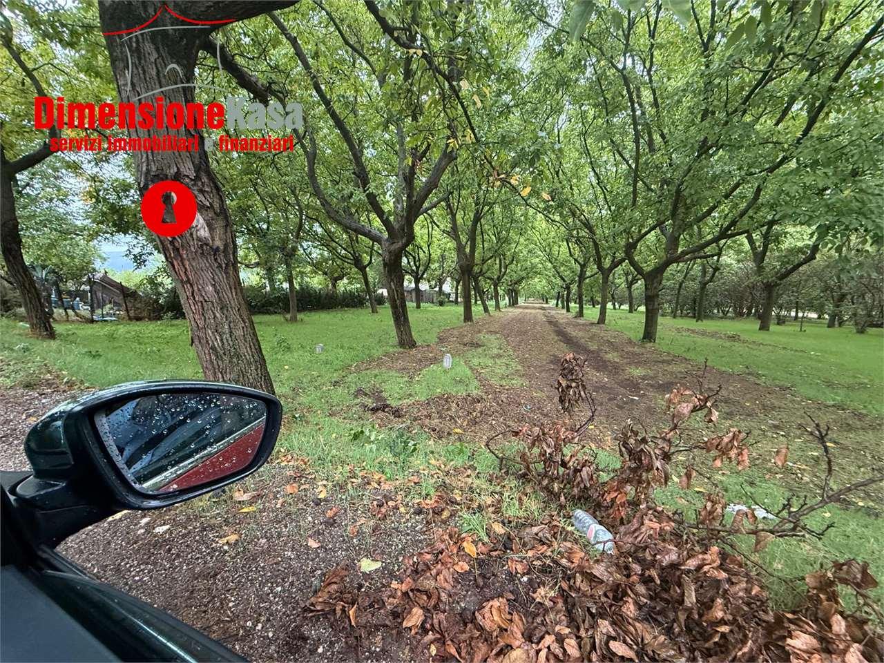 Vendita vendita, Cicciano Vendita vendita, Cicciano foto