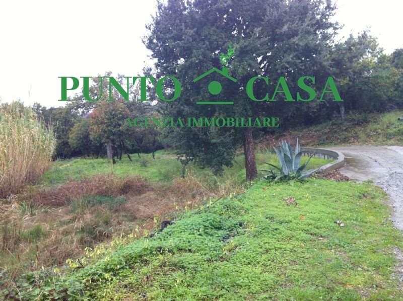 Vendita vendita, Gizzeria foto