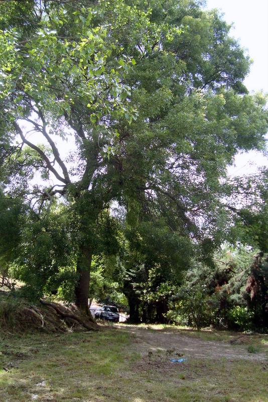 Vendita Eptavani, Fermo Vendita Eptavani, Fermo foto
