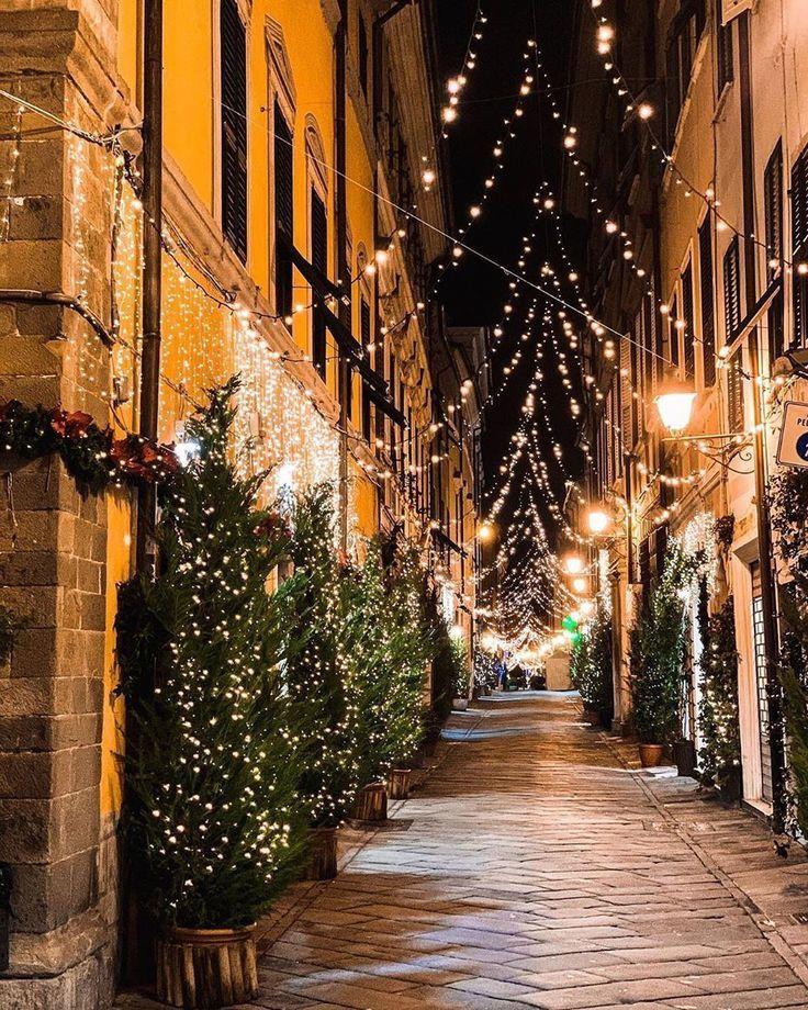 Affitto Bivani, Sarzana Affitto Bivani, Sarzana foto