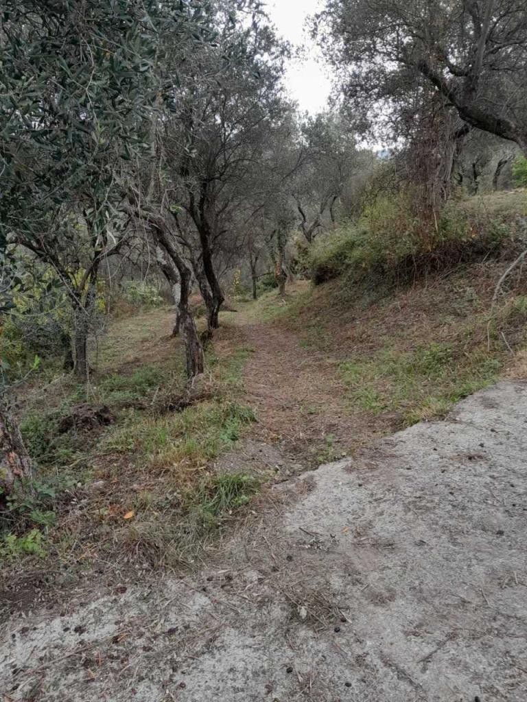 Vendita Terreni, Arcola foto