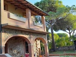 Vendita Multivani, Follonica foto