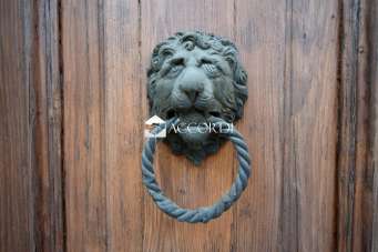 Vendita Multivani, Conegliano Vendita Multivani, Conegliano