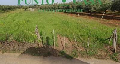 Vendita vendita, Lamezia Terme Vendita vendita, Lamezia Terme