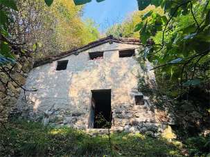 Vendita vendita, Nesso Vendita vendita, Nesso