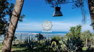 Vendita vendita, Noto Vendita vendita, Noto