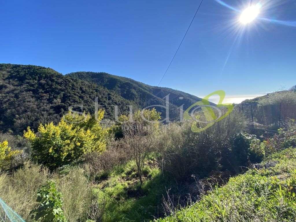 Vendita vendita, Seborga foto