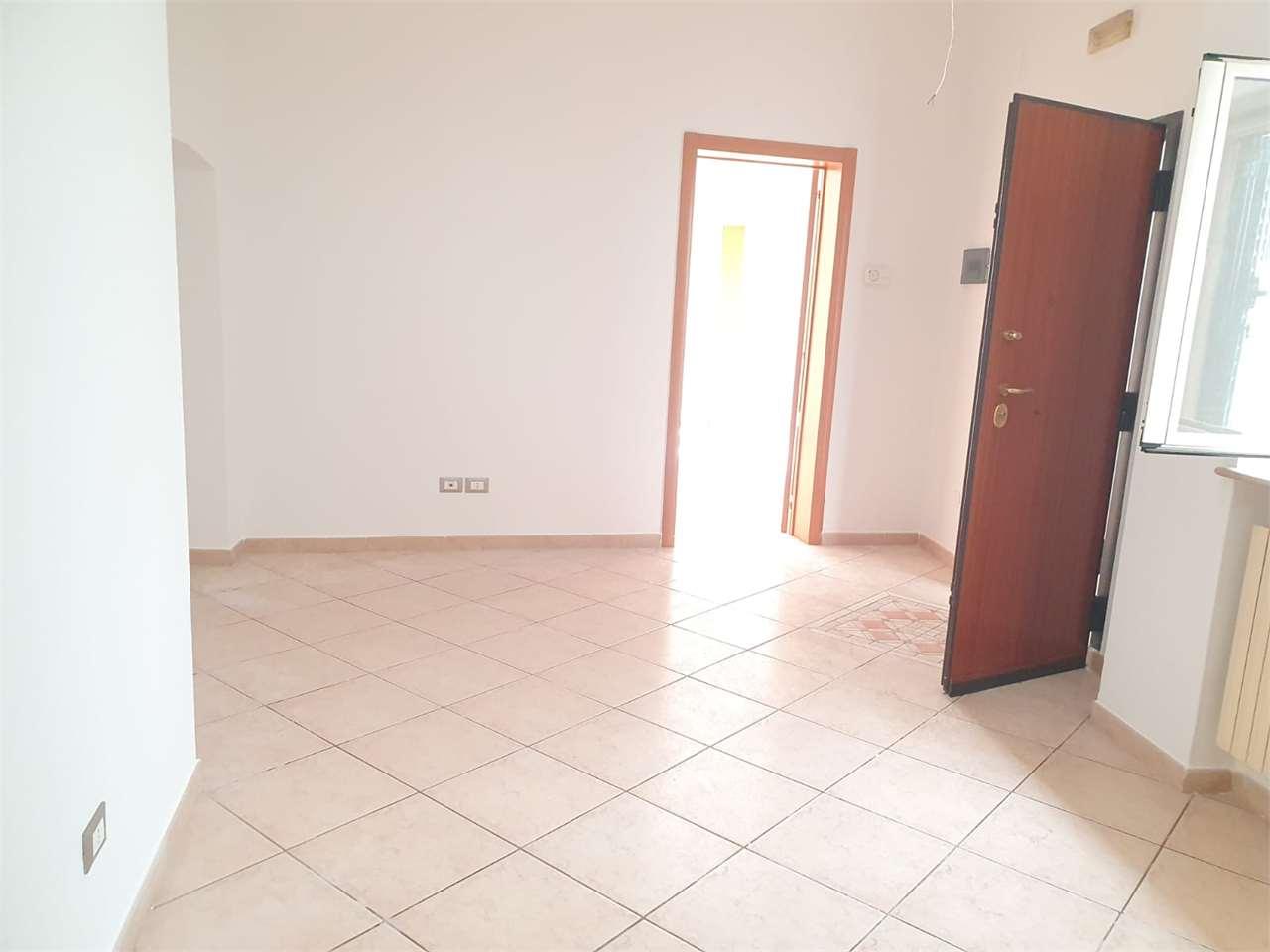 Affitto affitto, Bitonto Affitto affitto, Bitonto foto