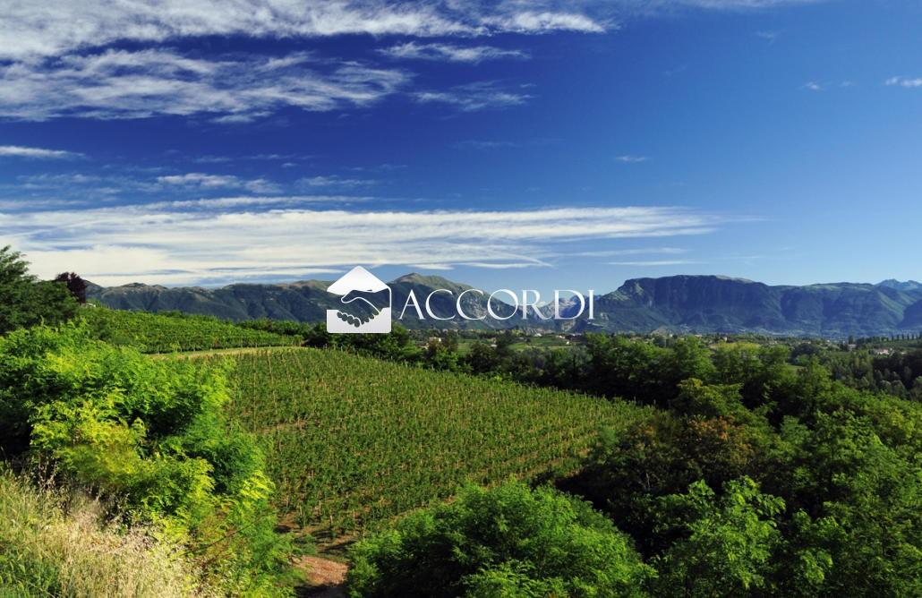 Vendita Case, San Pietro di Feletto Vendita Case, San Pietro di Feletto foto