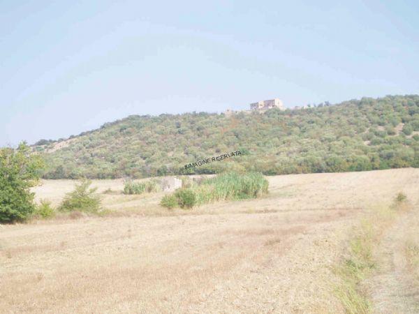 Vendita Rustico, Campagnatico foto