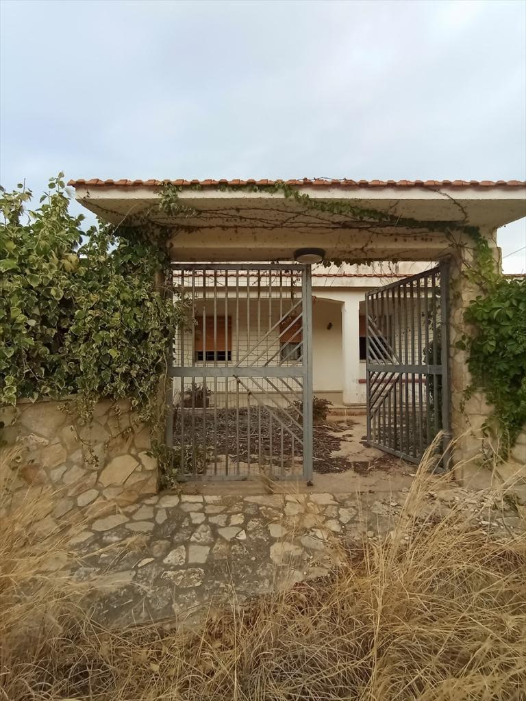 Vendita Casa indipendente, Custonaci Vendita Casa indipendente, Custonaci foto