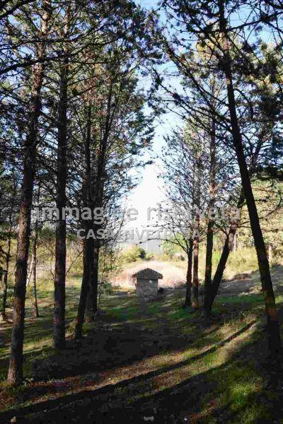 Verkauf Rustico, Campagnatico foto