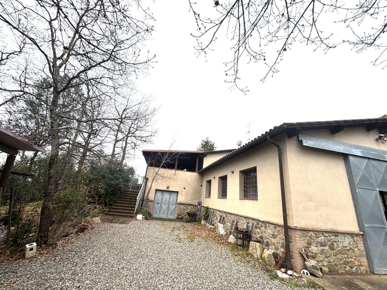 Vendita Magazzino, Campagnatico foto