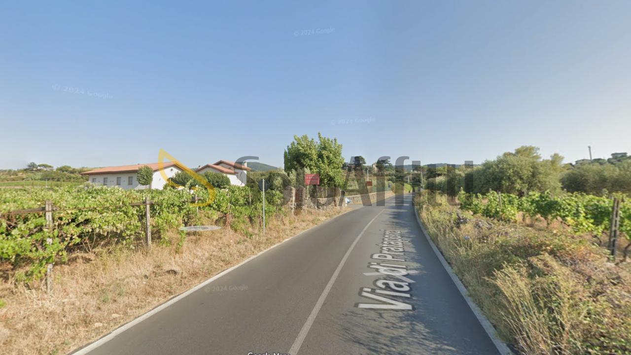 Affitto Monovano, Grottaferrata Affitto Monovano, Grottaferrata foto