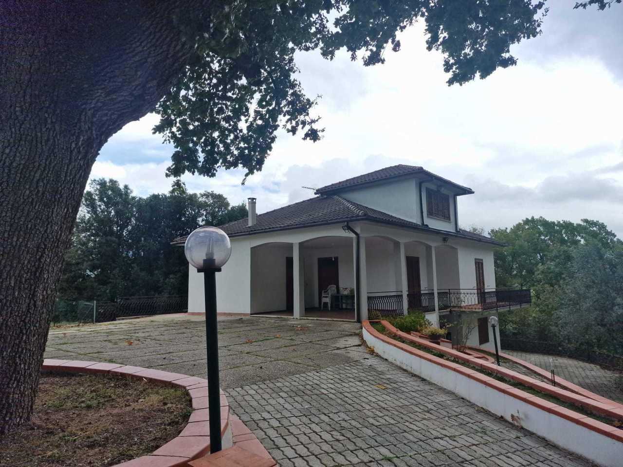 Vendita Esavani, Configni Vendita Esavani, Configni foto