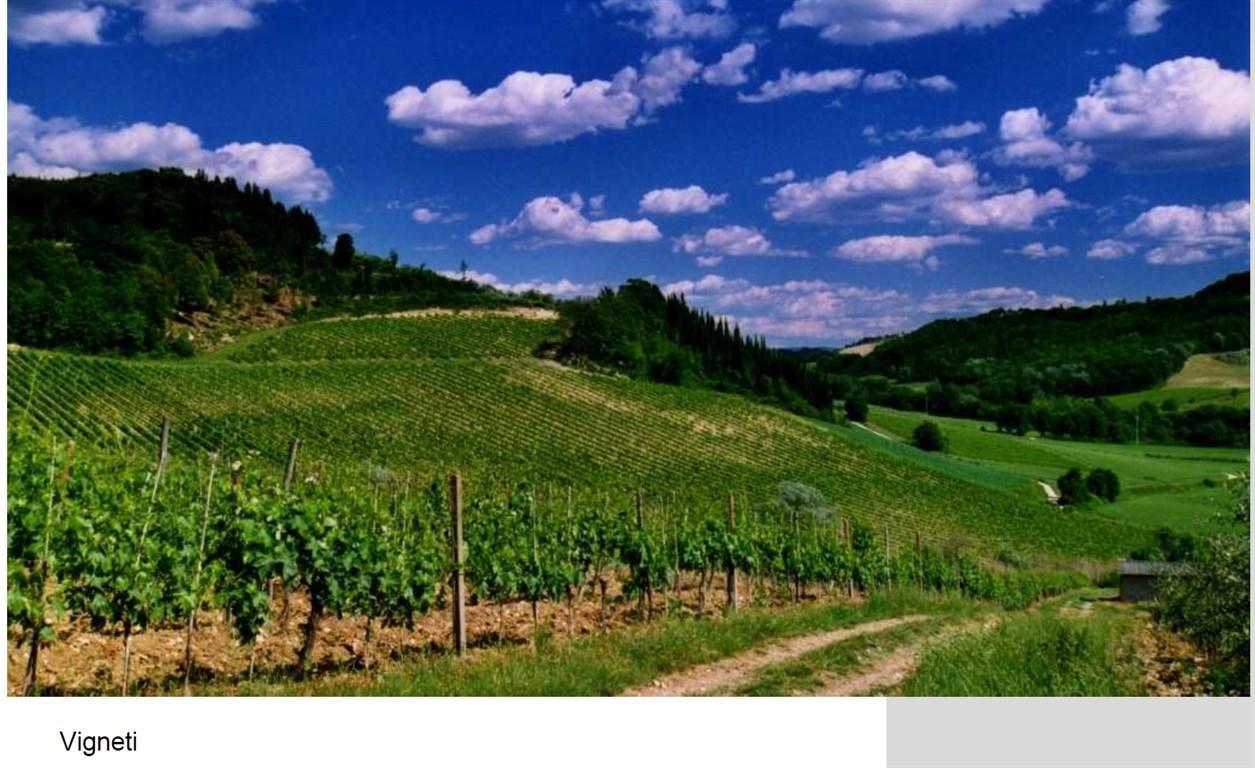 Vendita Rustico / Casale, Montespertoli foto