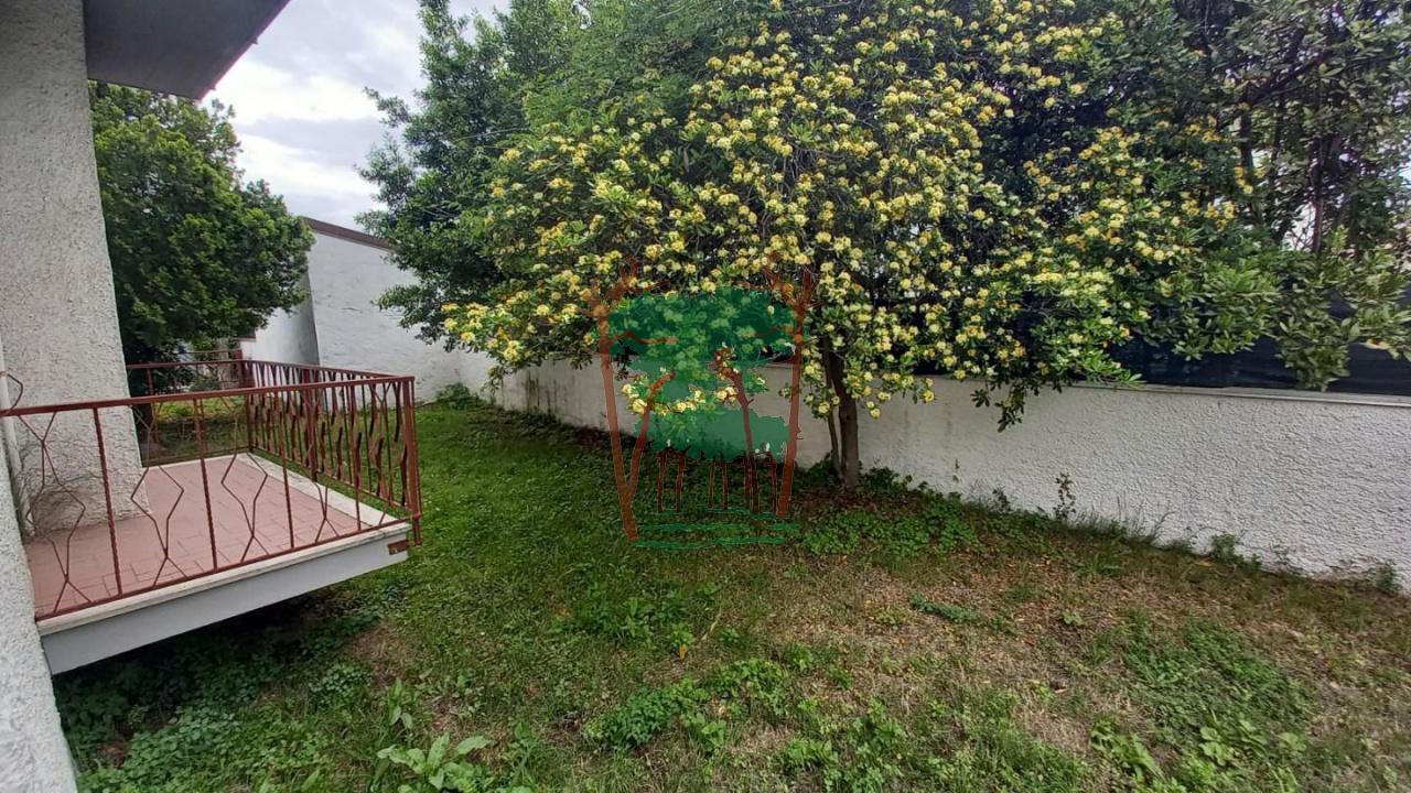 Vendita Quadrivani, Camaiore Vendita Quadrivani, Camaiore foto