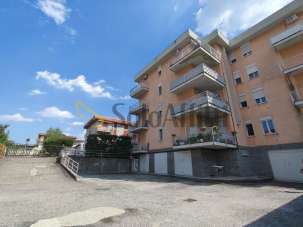 Affitto Trivani, Gallarate