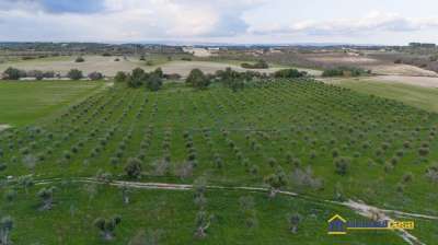 Vendita Loft, mansarde e attici, Noto Vendita Loft, mansarde e attici, Noto