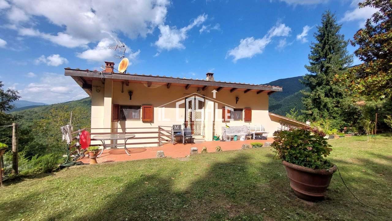 Vendita Esavani, Londa foto