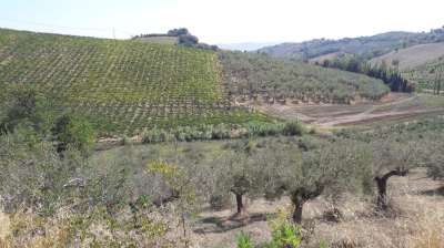 Vendita Altri immobili, Spoltore Vendita Altri immobili, Spoltore