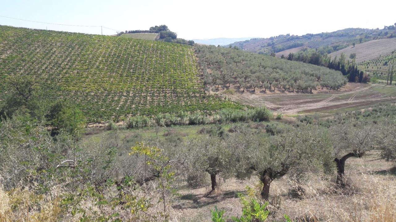 Vendita Altri immobili, Spoltore Vendita Altri immobili, Spoltore foto