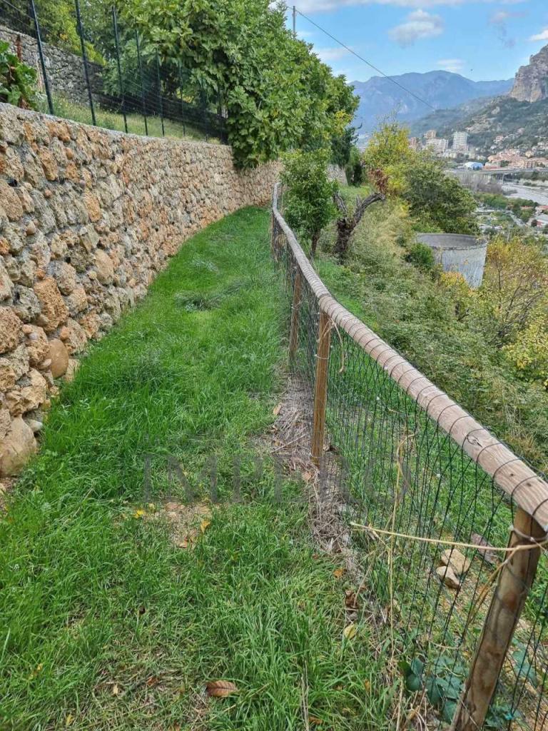 Vendita Monovano, Ventimiglia Vendita Monovano, Ventimiglia foto
